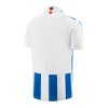 Officiële Voetbalshirt SC Heerenveen Thuis 2023-24 - Heren